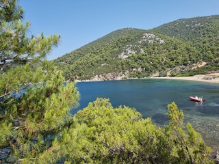Obraz premium skyros or skiros island, pefkos beach pine trees beside the sea summer destination in greece