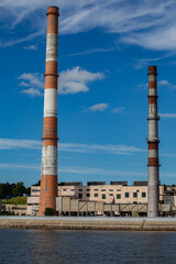 Fototapeta premium plant in the city