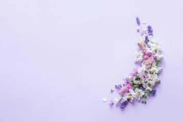 Foto auf Acrylglas white and purple flowers on purple paper background © Maya Kruchancova