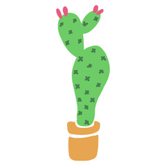cactus illustration vector