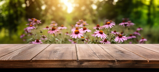 Empty rustic old wooden boards table copy space with Echinacea or coneflower plants in background. Product display template. Generative AI