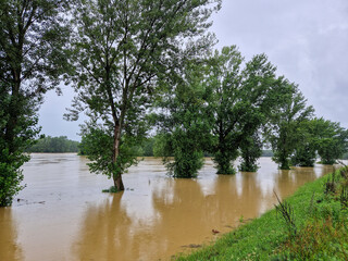 High water level of the Drava River near Donja Dubrava, Croatia