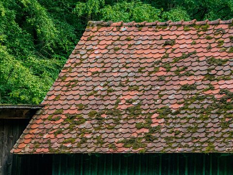 Bemoostes und feuchtes Dach eines unbewohnten Hauses