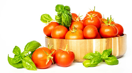 Red tomatoes and fresh basil in a wooden plate, on a white background. Home gardening. Eating healthy.