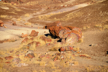 Rugged and Desolate Landscape Petrified Forest Arizona