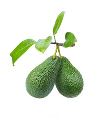 avocado isolated on white background