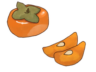 柿のイラスト素材、主線あり