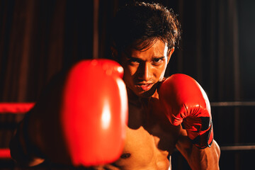 Muay Thai boxer punch his fist in front of camera in ready to fight stance posing at gym with...