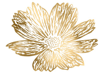Fototapeta na wymiar goldene Blume, Blüte