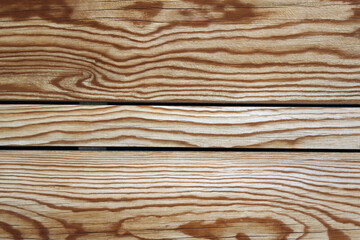 Close-up on the texture of wood, wood species.