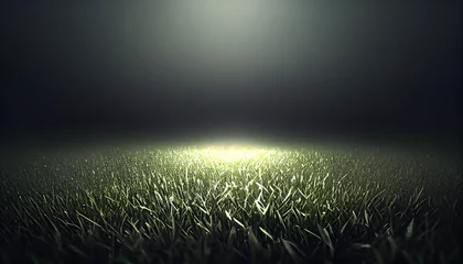 Papier Peint photo Réflexion Empty grass field scene background with spotlights light. Night view of stadium light reflected on grass, rainbow over field, Ai generated image 