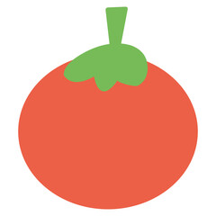 tomato illustration vector
