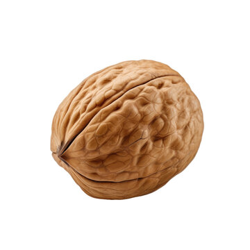 Walnut alone, on transparent backround