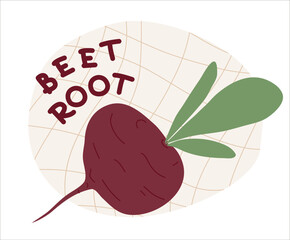 Beet vector illustration and text “beetroot” on a neutral background. Fresh vegetable in flat cartoon style. Local nutritious raw products. Label design for sticker, packaging or advertising.