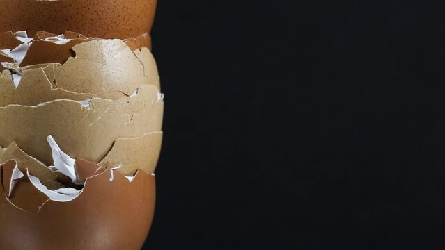 Close-up of rotating egg shells.