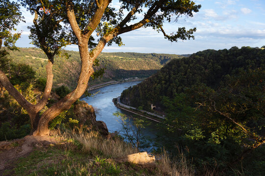 Auf der Loreley, August 2023