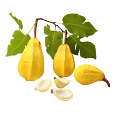Foto op Canvas Baobab fruit and leaves isolated on transparent backround. © AkuAku