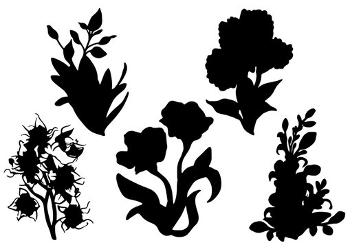 Set de siluetas de flores silvestres vectoriales