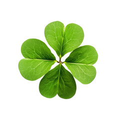 Clover leaf, isolated on transparent with clipping path.