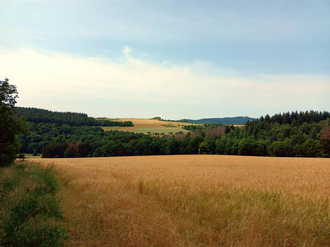 Hügelige Landschaft mit Feldern, Bäumen und Wiesen im Sommer im Saarland bei Berschweiler in der Gemeinde Marpingen, Landkreis St. Wendel. Aussicht vom Premium-Wanderweg Biberpfad. 