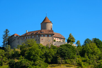Fototapeta na wymiar Castle Reichenberg with green trees in summer