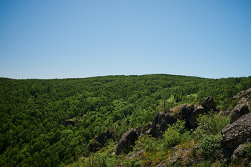View on crooked tree on stony slope, mountain ravine beneath, sun behind tree.