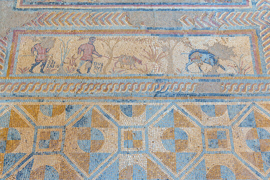 dating from the first century this ceramic patterns and motifs of roman origin found at the the conimbriga ruins portugal