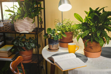 Reading place near houseplants. Green relax zone in the room with opened book and potted flowers. Nobody. Boho style. eco design in cozy house.