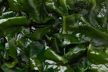 Soaked wakame close up full frame as background