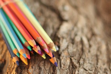 Lápices de colores sobre la rama de un árbol