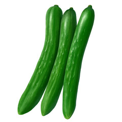 きゅうりのイラスト