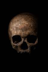 skull on black