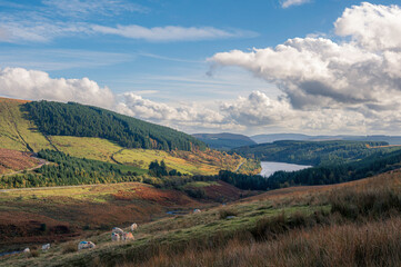 Obraz premium A view of the Cantref Reservoir, in the Brecon Beacons, on a summers day