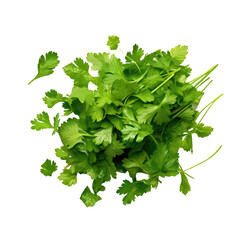 Fresh herbs, chopped parsley leaves, isolated on transparent backround.