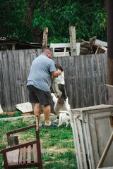 Vertical shot of a man playing with a dog in his backyard
