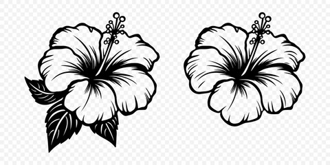 Vector Monochrome Outline Ink Hibiscus. Chinese Rose Set. Floral Design Elements. Hibiscus Flower Linear Black and White Icon, Tattoo. Hibiscus Flowers Isolated - obrazy, fototapety, plakaty
