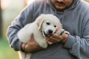 Man standing in a park, smiling as he holds his canine companion in his arms
