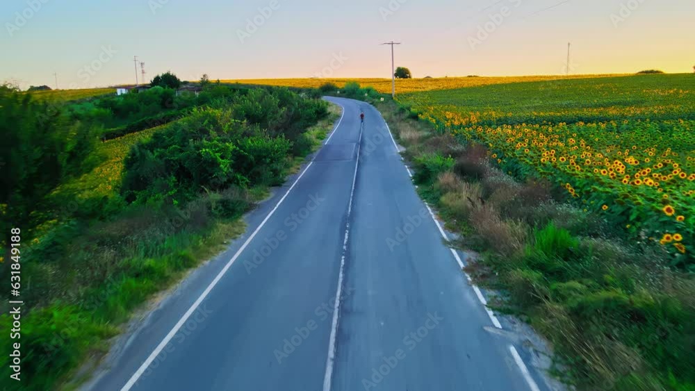 Wall mural Drone shot of a road in sunflower field with epic sunset view