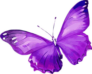 紫の綺麗な蝶々の水彩イラスト