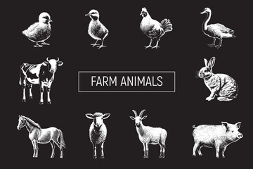 Farm Animals Collection. Hand Drawn Engraving Illustration