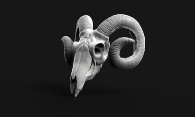 3d illustration of a goat skull, dark background, studio lighting. Photo realistic goat skull right view.