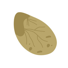 vector colorful sea pebbles