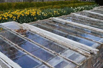 Brick cold frame greenhouse in a garden in Scotland, UK