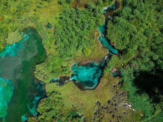 Zelenci natural reserve in Slovenia - droneshot from above