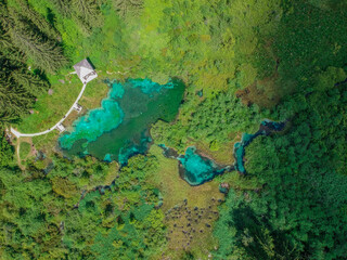 Zelenci natural reserve in Slovenia - droneshot from above
