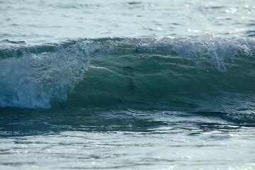 Small wave in the ocean splashing to the shore