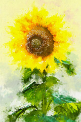 Watercolor illustration of sunflower with colorful abstract background