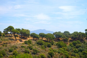Fototapeta na wymiar Andalusian landscape with a pine-covered hill with a hiking trail and a mountain on the horizon, Spain