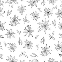 Fototapeta na wymiar Outline chamomile flowers isolated on white background. Cute floral seamless detailed ink pattern. Vector flat graphic hand drawn illustration. The isolated object on a white background.