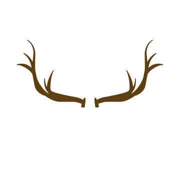 Deer Antlers Vector